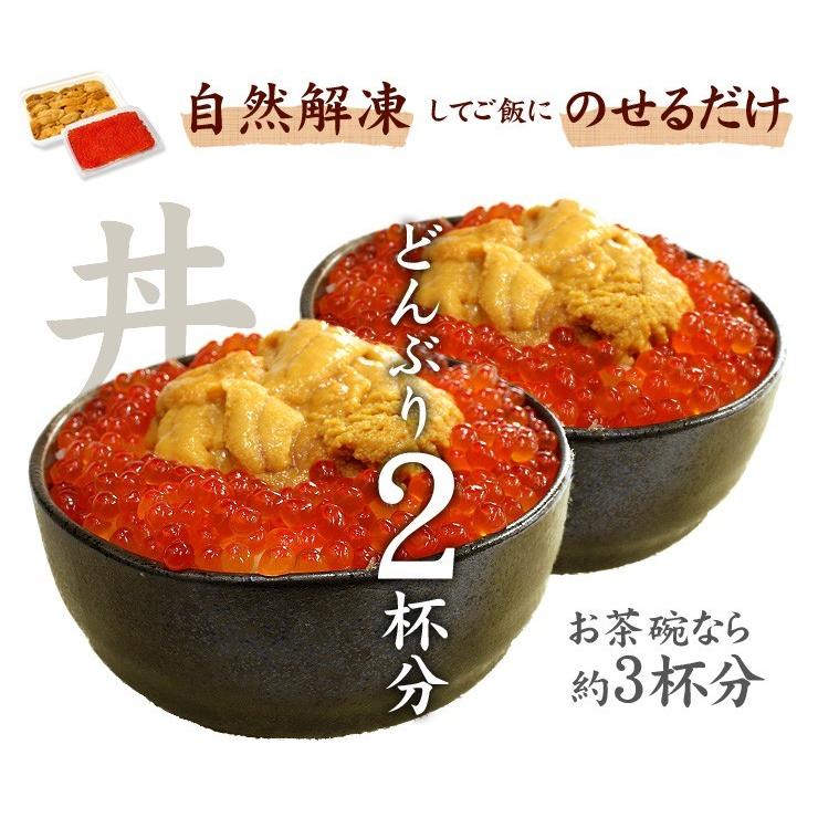 うにいくらセット 海鮮丼 海鮮セット 刺身 食べ物 爆買 [[ウニイクラ