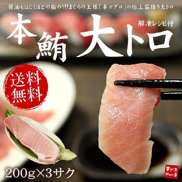 本マグロ大トロ600g（200g×3サク）送料無料 解凍レシピ付 刺身 海鮮 食べ物 爆買〈bf1〉《pbt-bf1》[[本鮪大トロ-3p]