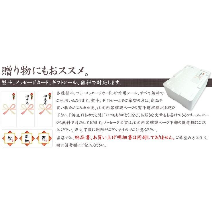 本マグロ大トロ600g（200g×3サク）送料無料 解凍レシピ付 刺身 海鮮 食べ物 爆買〈bf1〉《pbt-bf1》[[本鮪大トロ-3p]_8