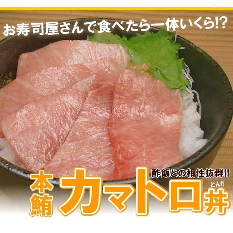 送料無料 本マグロカマトロ450g 本マグロの中でも超貴重 まるで高級霜降り肉 大トロ以上の強烈な脂のり Pbt Bf19 Bf1 Yd9 カマトロ450g 10001740 まぐろ処一条 通販 Yahoo ショッピング