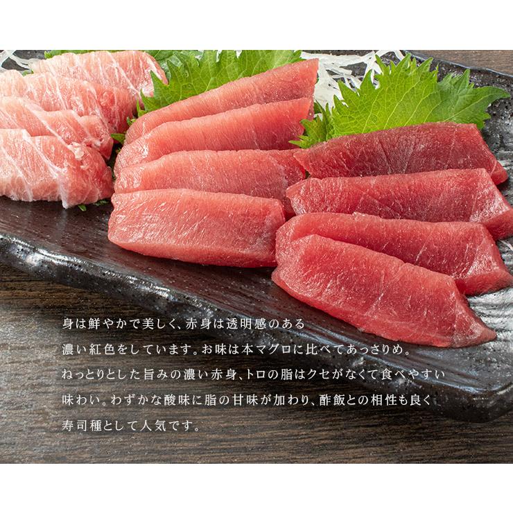 マグロ派のブリ 四国一小さなまち～ 天然マグロ切り落とし1kg×ぶり切り落とし