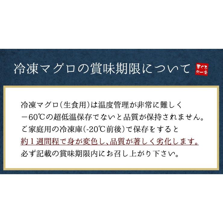 訳あり わけあり 天然マグロトロ赤身セット700g 送料無料 刺身 海鮮《pbt-be1》〈be1〉gw1 yd9[[バチ中赤700g]｜ichijyo｜10