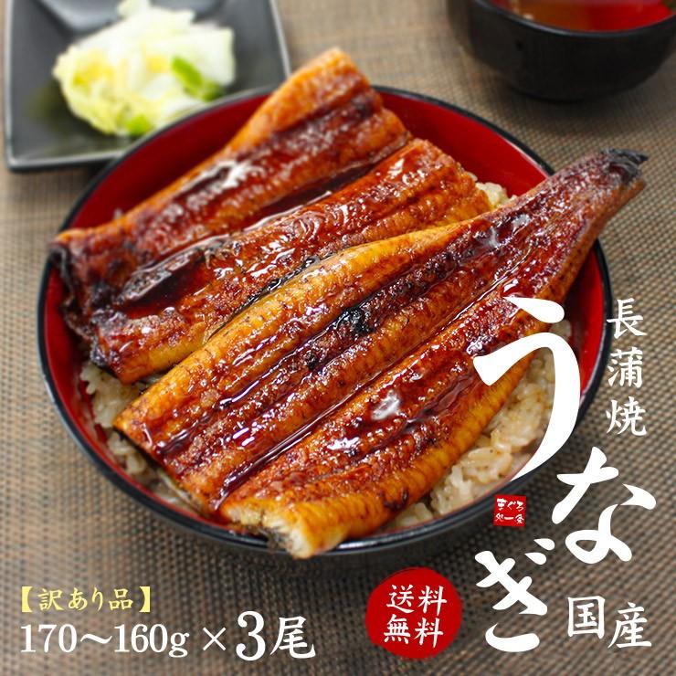 うなぎ ウナギ 国産 長蒲焼き160g〜170g×3尾 送料無料 訳あり セット《eel-ue1》〈ue1〉yd9[[ウナギ長蒲焼き-3p]｜ichijyo