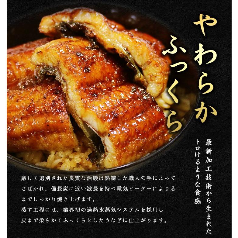 うなぎ ウナギ 国産 長蒲焼き160g〜170g×3尾 送料無料 訳あり セット《eel-ue1》〈ue1〉yd9[[ウナギ長蒲焼き-3p]｜ichijyo｜08