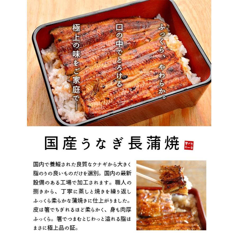オープニング大放出セール 国産うなぎ長蒲焼き160g 170g 4尾 訳あり品 Eel Ue1 Ue1 Yd9 ウナギ長蒲焼き 4p 最適な材料 Www Sagamorepub Com