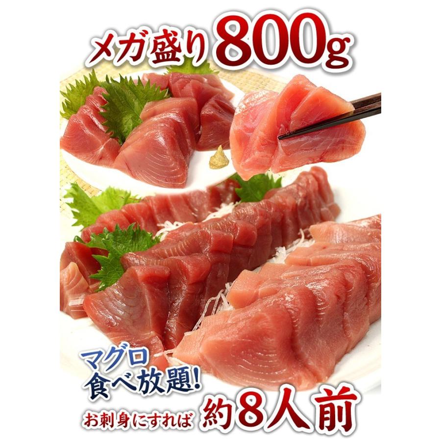 天然マグロ 赤身 800g 送料無料 解凍レシピ付 刺身 海鮮 食べ物《pbt