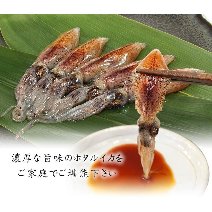 税込 生ほたるいか12杯 お刺身用 富山県産 Yd5 ホタルイカ Aynaelda Com