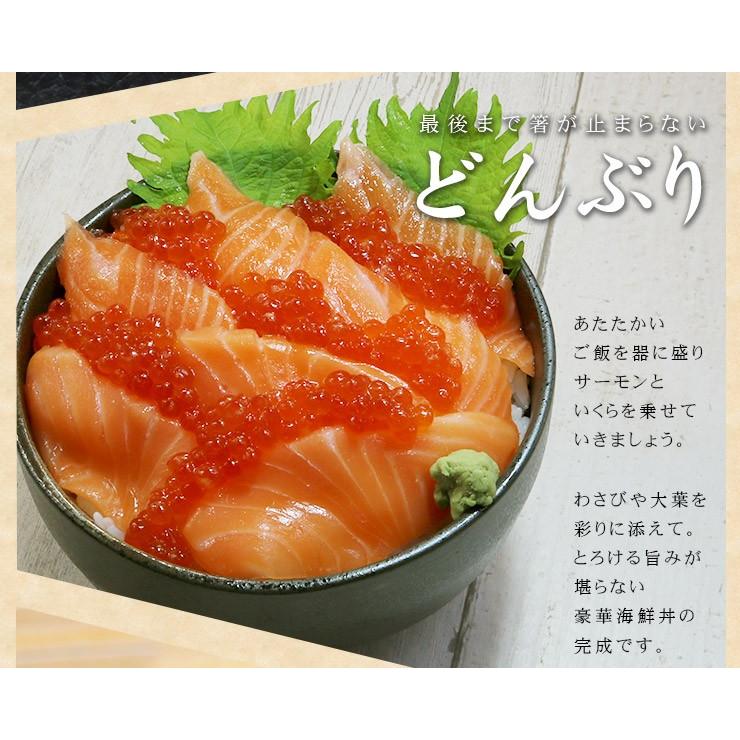 サーモンいくら丼セット《ref-sms2》[[サーモンいくらセット サーモンいくら丼セット《ref-sms2》[[サーモンいくらセット