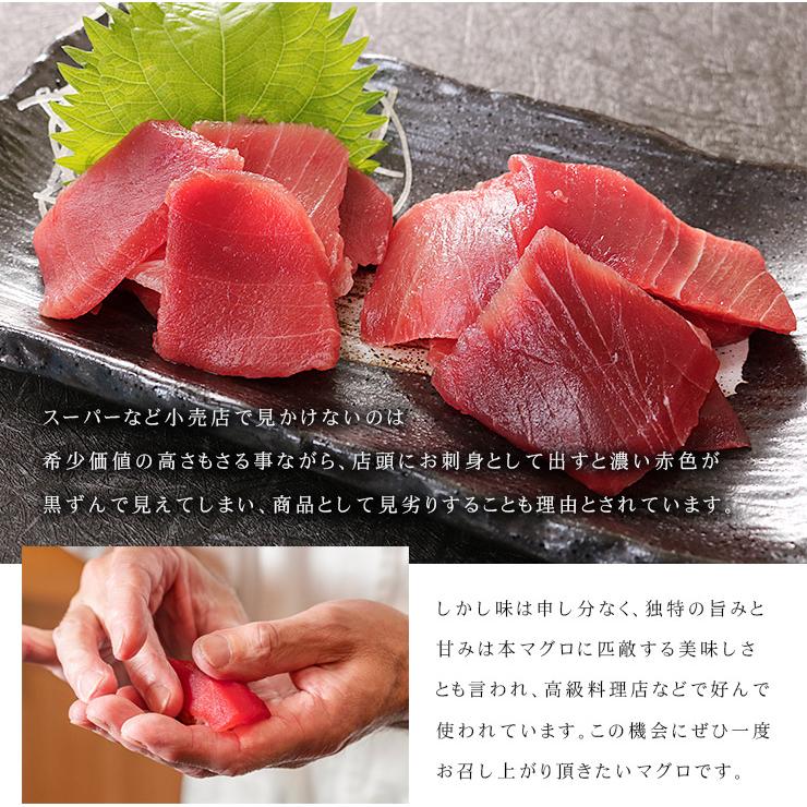 マグロ 天然南マグロ切り落とし250g 刺身 海鮮 食べ物《ref-mkr1》〈mkr1〉yd9[[天然南マグロ切落し250g]｜ichijyo｜10