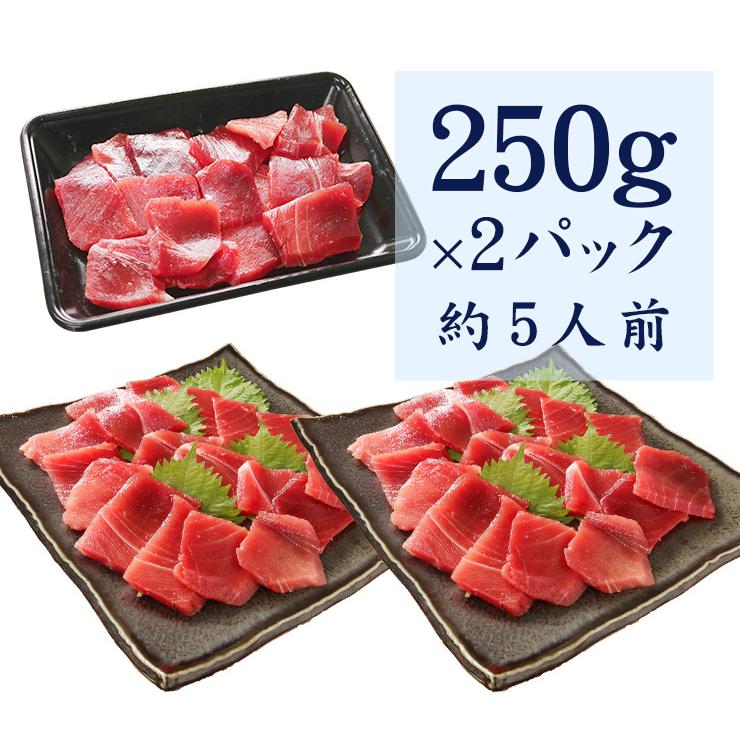 マグロ 天然南マグロ切り落とし500g（250g×2パック）送料無料 刺身
