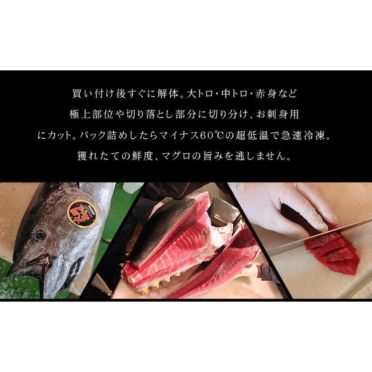 大間産 本マグロ 大トロ中トロセット 300g 送料無料 刺身 海鮮 高級