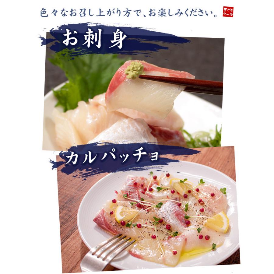 国産 ヒラマサぶつ切り 0g Hmb Ref Hmb1 Yd9 ヒラマサぶつ切り0g まぐろ処一条 通販 Yahoo ショッピング