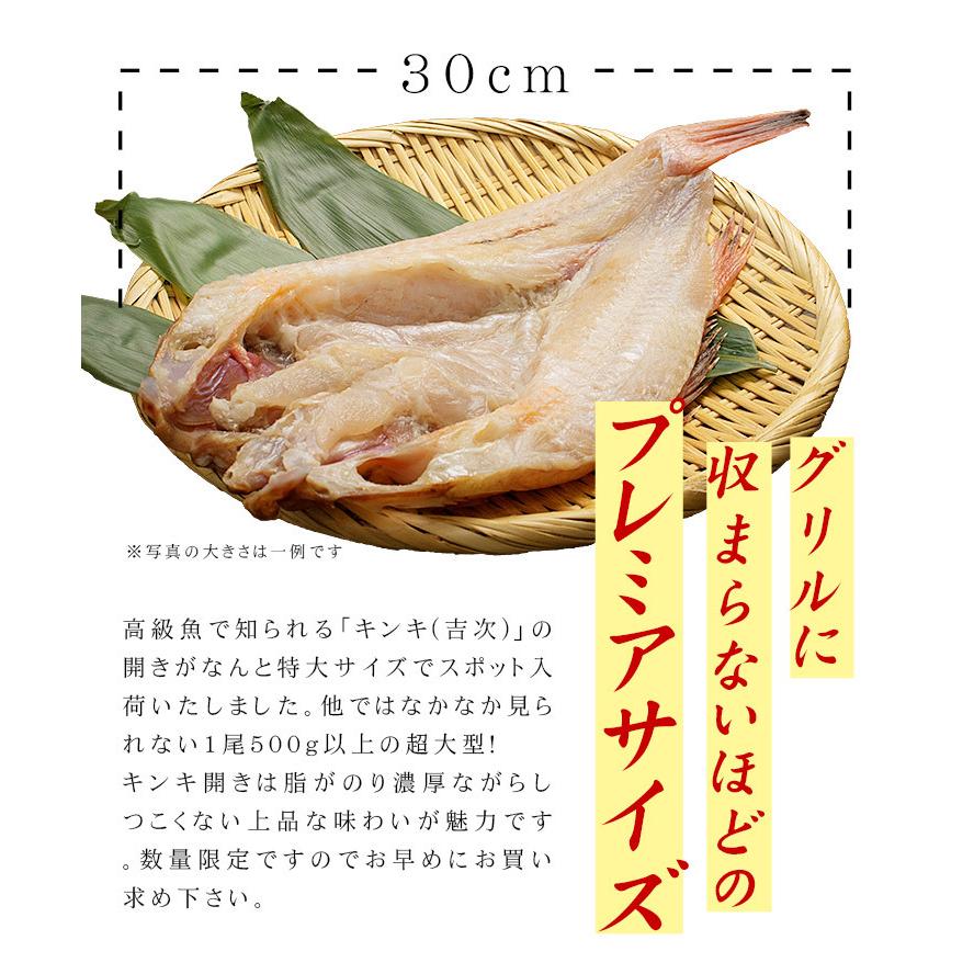 キンキ開き 500g以上 特大サイズ 魚焼きグリルに入らないサイズ要カット Ref Kkh2 Yd9 キンキ開き まぐろ処一条 通販 Yahoo ショッピング