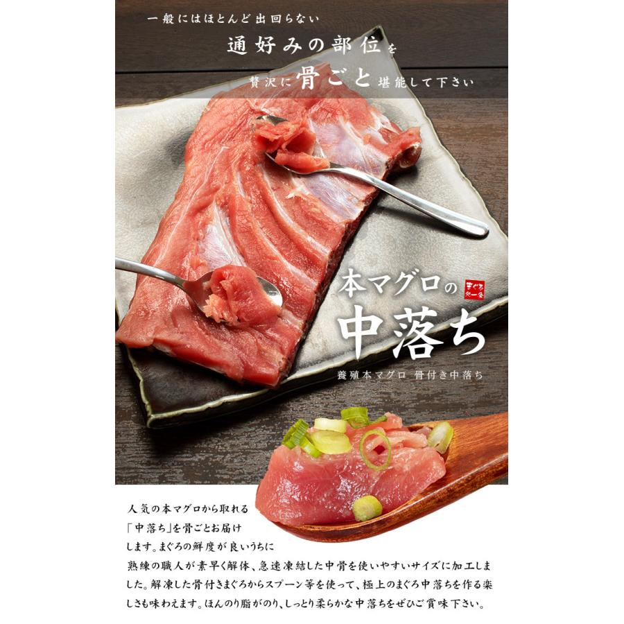 本マグロ骨付き中落ち1kg 可食部500 600g 解凍レシピ付き Yd9 本鮪骨付き中落ち1kg 10003252 まぐろ処一条 通販 Yahoo ショッピング