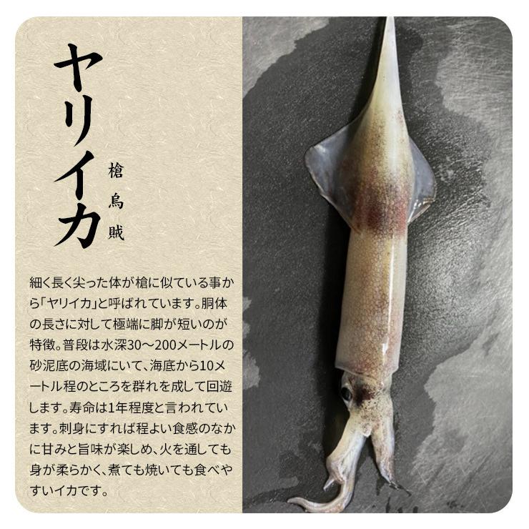 ヤリイカげそ枚 お刺身 自然解凍ok やりいか げそ Yd9 ヤリイカげそ枚 まぐろ処一条 通販 Yahoo ショッピング