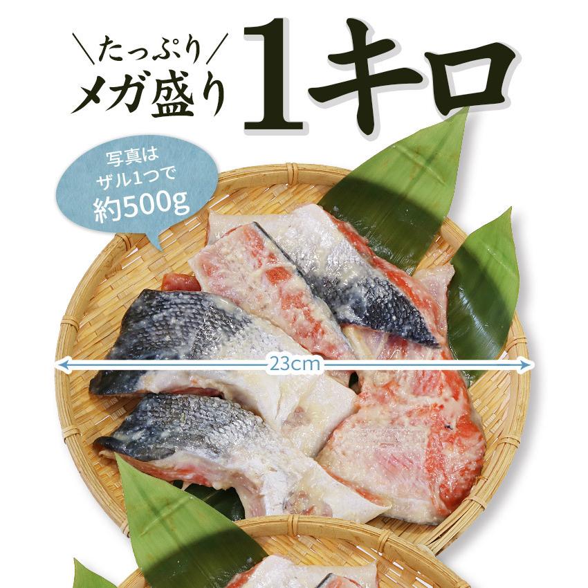 訳あり 紅鮭 西京漬け 1kg (500g×2パック) 送料無料 爆買 [[訳あり紅鮭