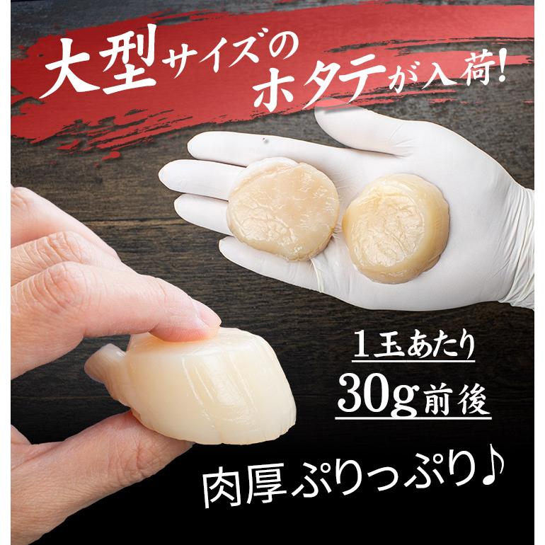 ホタテ ほたて 北海道産 特大 生ほたて1kg 25〜40玉入 送料無料 刺身 海鮮 om22[[特大ホタテ1kg]｜ichijyo｜03