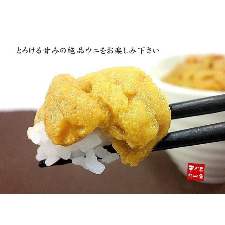生ウニ200g（100g×2パック）無添加 送料無料 刺身 海鮮丼 食べ物 爆買《ref-un2》[[生ウニ100-2p] |  | 08