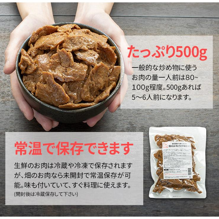 畑のお肉 500g 甘辛みそ味 大豆ミート ポスト投函 送料無料 常温 同梱不可 ギフト不可 [[畑のお肉味噌味500g]｜ichijyo｜06