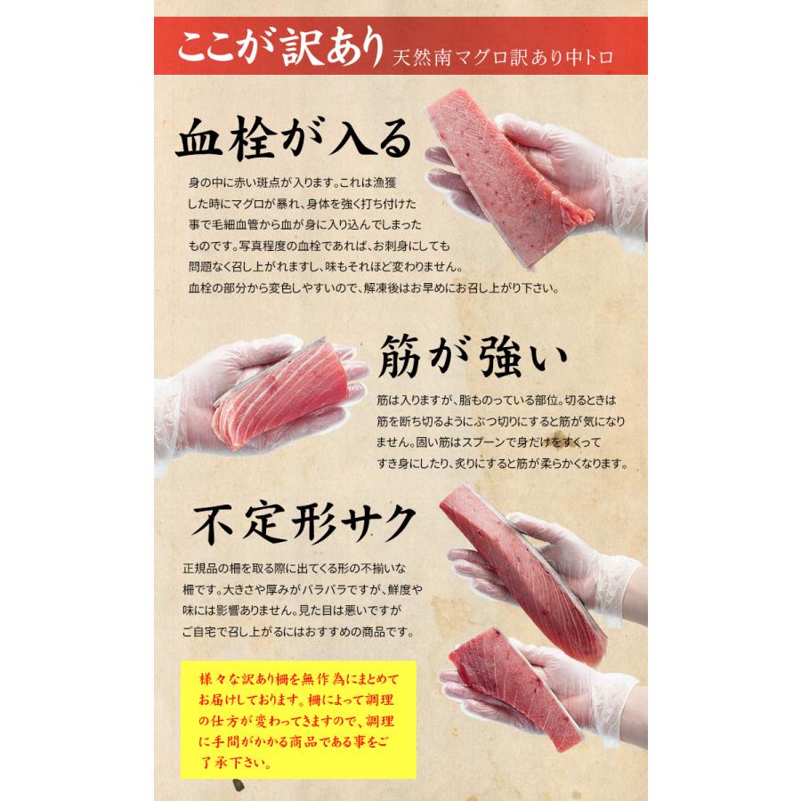 天然南マグロ 訳あり中トロ500g 送料無料 ※筋が強い 血栓が入る 形