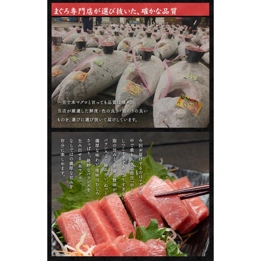 天然本マグロ訳あり中トロ700g 送料無料 解凍レシピ付 爆買《pbt-bf10