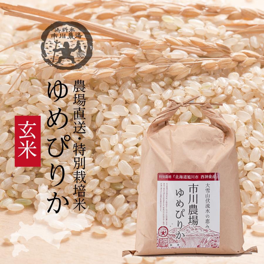 ゆめぴりか玄米 10kg 送料無料 北海道米 農家直送 令和5年産 北海道旭川産 お米 米 ギフト｜ichikawa-farm