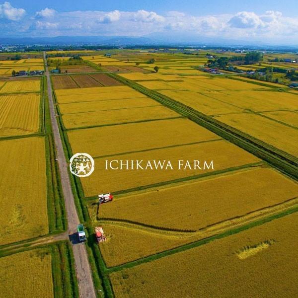 ゆめぴりか 20kg 送料無料 北海道米 農家直送 令和6年産 北海道 ゆめぴりか 20kg 送料無料 北海道米 農家直送 令和6年産 北海道