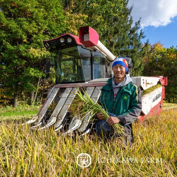 【新米予約】【農家直送】市川農場が世に出したお米「ゆきさやか」10kg【北海道旭川産】【送料無料】｜ichikawa-farm｜05