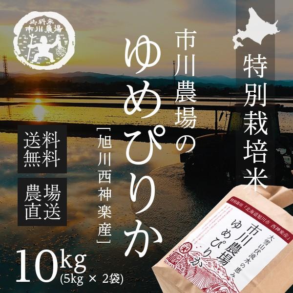 ゆめぴりか 10kg 送料無料 北海道米 農家直送 令和７年産 北海道旭川産 お米 米 直前精米 ギフト（Yahoo!・市川農場）