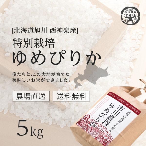 ゆめぴりか 5kg 送料無料 北海道米 農家直送 令和5年産 北海道旭川産 お米 米 直前精米 ギフト｜ichikawa-farm