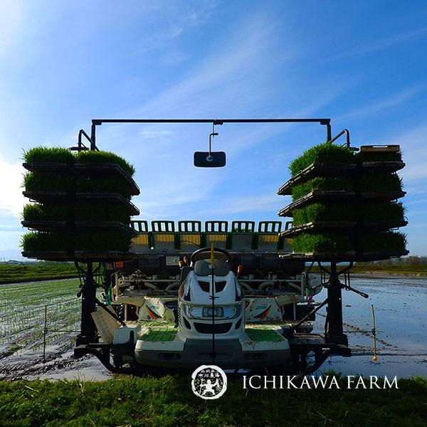 ゆめぴりか 5kg 送料無料 北海道米 農家直送 令和6年産 北海道 ゆめぴりか 5kg 送料無料 北海道米 農家直送 令和6年産 北海道
