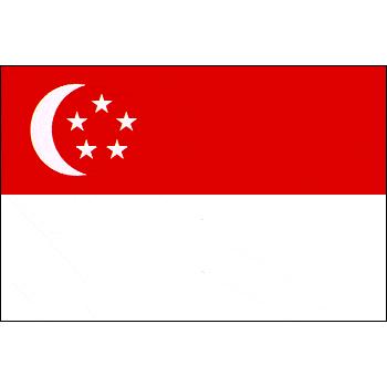 シンガポール国旗（12x18cm・卓上旗） :t-nf-073-12x18:旗とカップichikawa-sk - 通販 - Yahoo!ショッピング