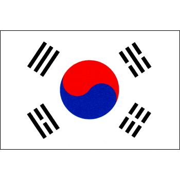 大韓民国国旗（120x180cm・エクスラン）