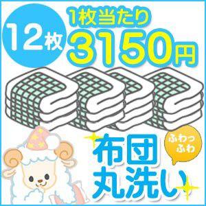 布団クリーニング クリーニング 丸洗い 12枚セット 送料無料 布団丸洗い ふとんクリーニング 羽毛布団 羊毛布団