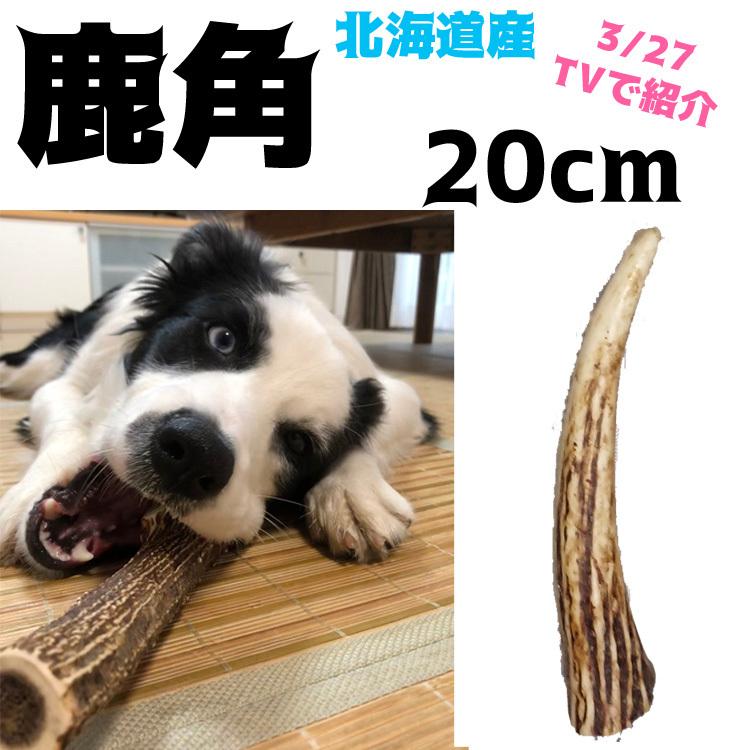 北海道産☆鹿の角☆ 枝角 20cm大型犬〜中型犬犬のおもちゃ 北海道産☆鹿の角☆ 枝角 20cm大型犬〜中型犬犬のおもちゃ