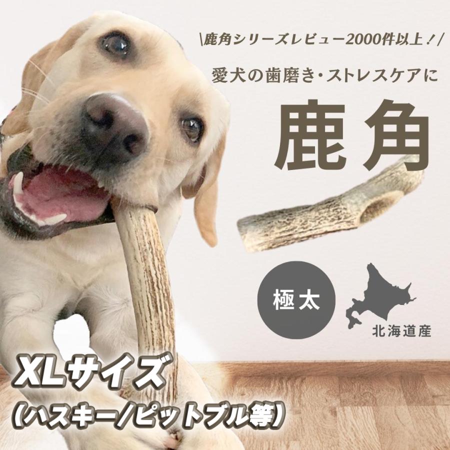 北海道産シカ角おやつ 29kg 北海道産☆鹿の角☆XLサイズ 犬のおもちゃ・おやつ送料無料 エゾシカ
