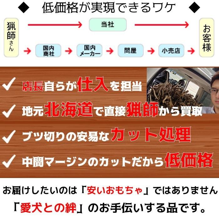 鹿の角 犬 おもちゃ 噛む おやつ デンタルケア 北海道 エゾシカ 用品