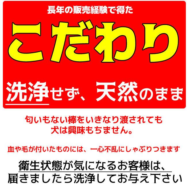 鹿の角 犬 おもちゃ 噛む おやつ デンタルケア 北海道 エゾシカ 用品