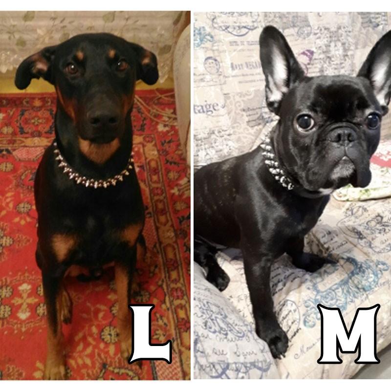 犬の首輪 幅2.5cm スタッズ・スパイクPUレザー首輪【送料無料】 首回り