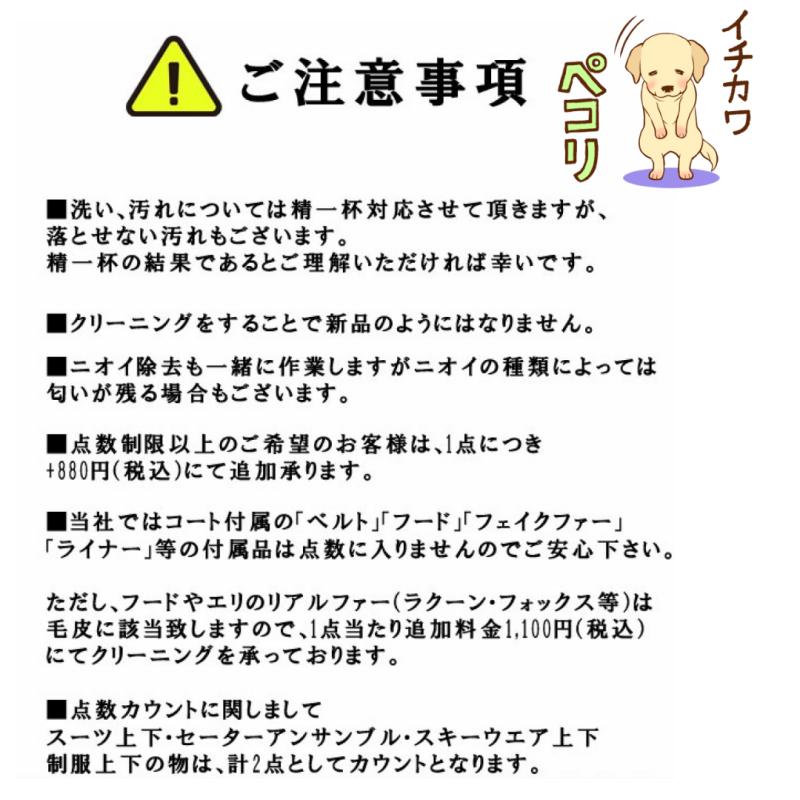 クリーニング 7点 選べる 保管付き 詰め放題 宅配クリーニング 31週