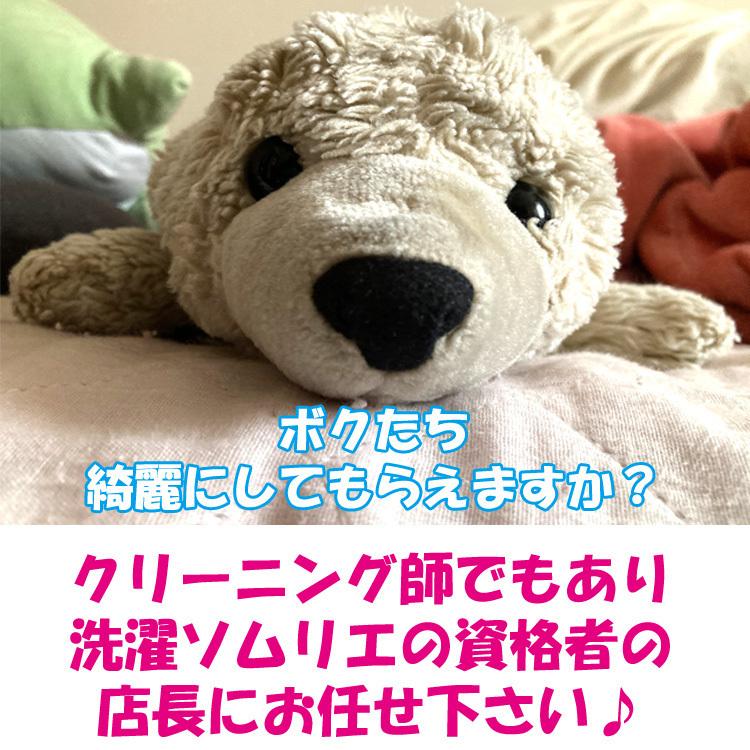 ぬいぐるみクリーニング【Lサイズ】 1体（65cm×70cm以内 45Lゴミ袋に入る大きさ）の画像
