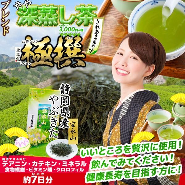 緑茶 静岡茶 宝永山100g袋入 最高級 極撰ランク やや深蒸し煎茶 日本茶  やぶきた 煎茶 茶葉｜ichikawaen