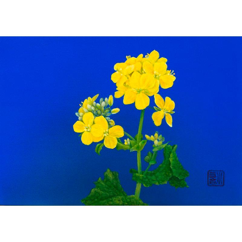 安住小百合 「菜花」 日本画ＳＭ 額付き