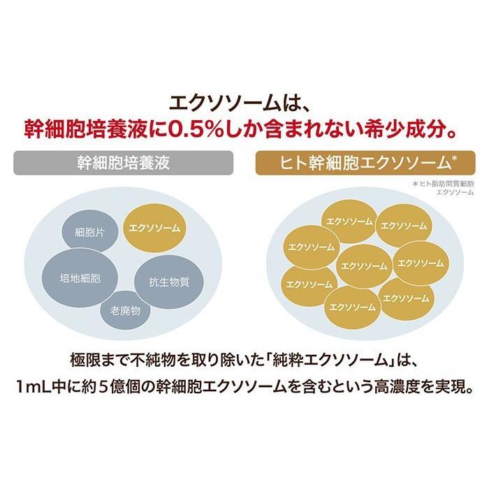ルジュ アイラッシュセラム まつ毛用 美容液 ヒト幹細胞エクソソーム | Lejeu | 02