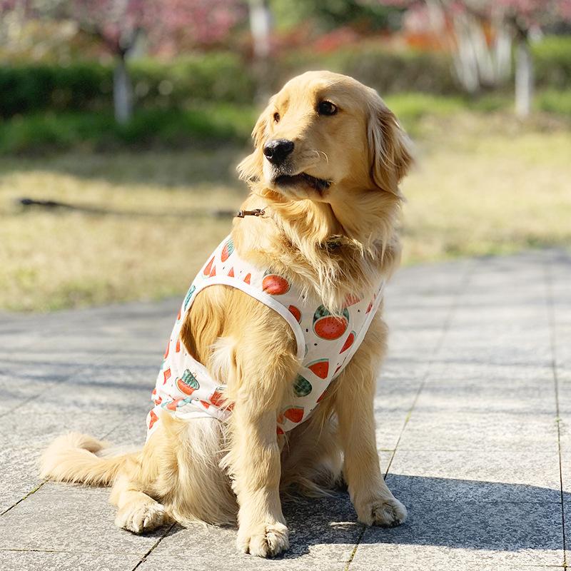 犬 服 春 夏 速乾 メッシュ タンクトップ スイカ すいか クール ベスト おしゃれ かわいい 涼しい 暑さ対策 熱中症対策 安い 着せやすい 大型犬 超大型犬｜ichimarusan103｜04