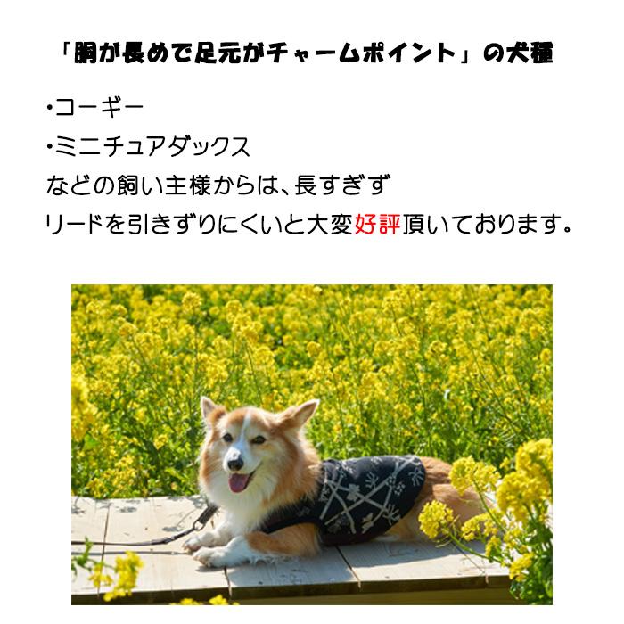 犬 ショートリード 反射 牛革 80cm トレーニング 訓練 しつけ 短引き