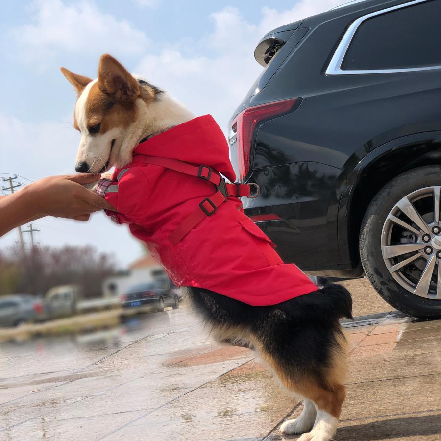 犬 レインコート フード ハーネス  一体型 反射 D環 機能性 ポケット 雨具 雨 小型犬 中型犬 柴犬｜ichimarusan103｜12