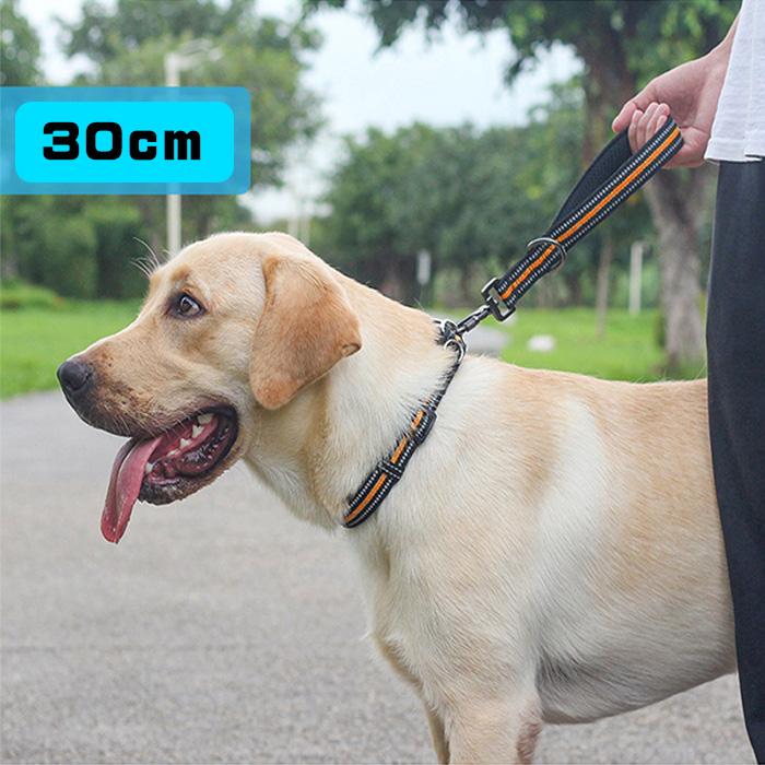 パラコード 犬 カート用 ショートリード no.45 楽天市場】犬 リード メール便送料無料 おしゃれ 可愛い パラコード