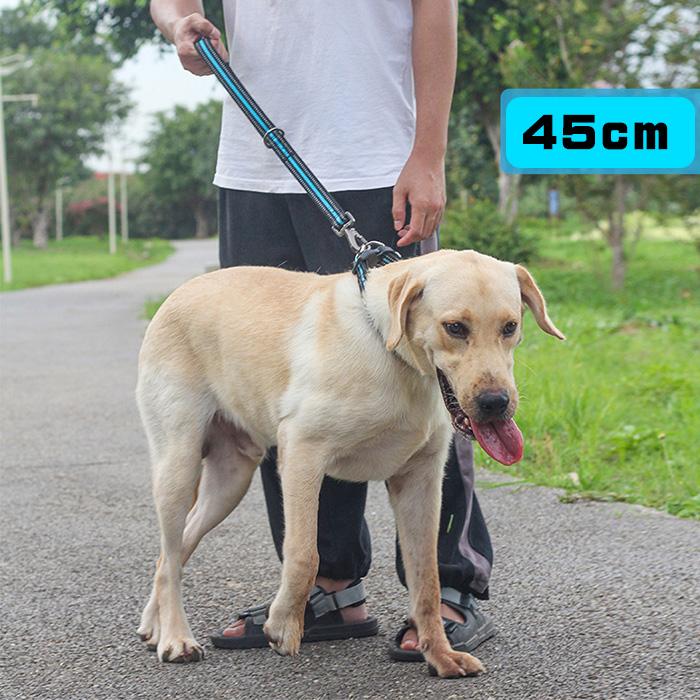 犬 ショートリード 反射 ロック機構 カラビナ 30cm 45cmトレーニング