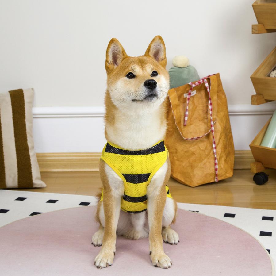 犬服 タンクトップ 中型犬 大型犬 夏服 メッシュ 速乾 伸縮 UV対策